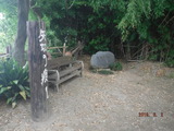 DSCF7152
