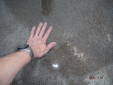 DSCF4068