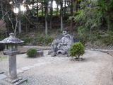 DSCF6018