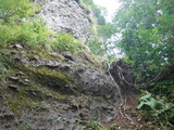DSCF2441
