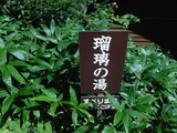 DSCF2689