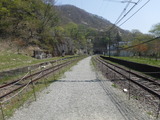 DSCF5934