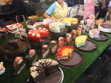 DSCF8778