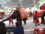 DSCF5888