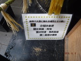 DSCF7761