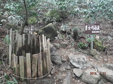 DSCF5980