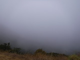 DSCF2244