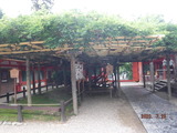 DSCF6580