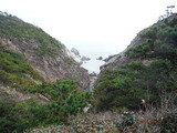 DSCF8298