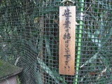 DSCF7756