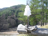 DSCF5977