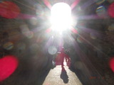 DSCF6714