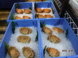 DSCF6050