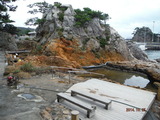 DSCF8269