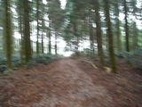 DSCF4554