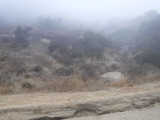 DSCF2246