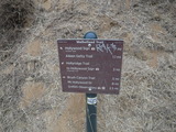 DSCF2247