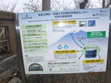 DSCF5956