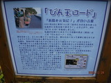DSCF9973