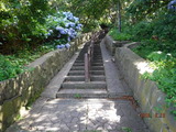 DSCF1635