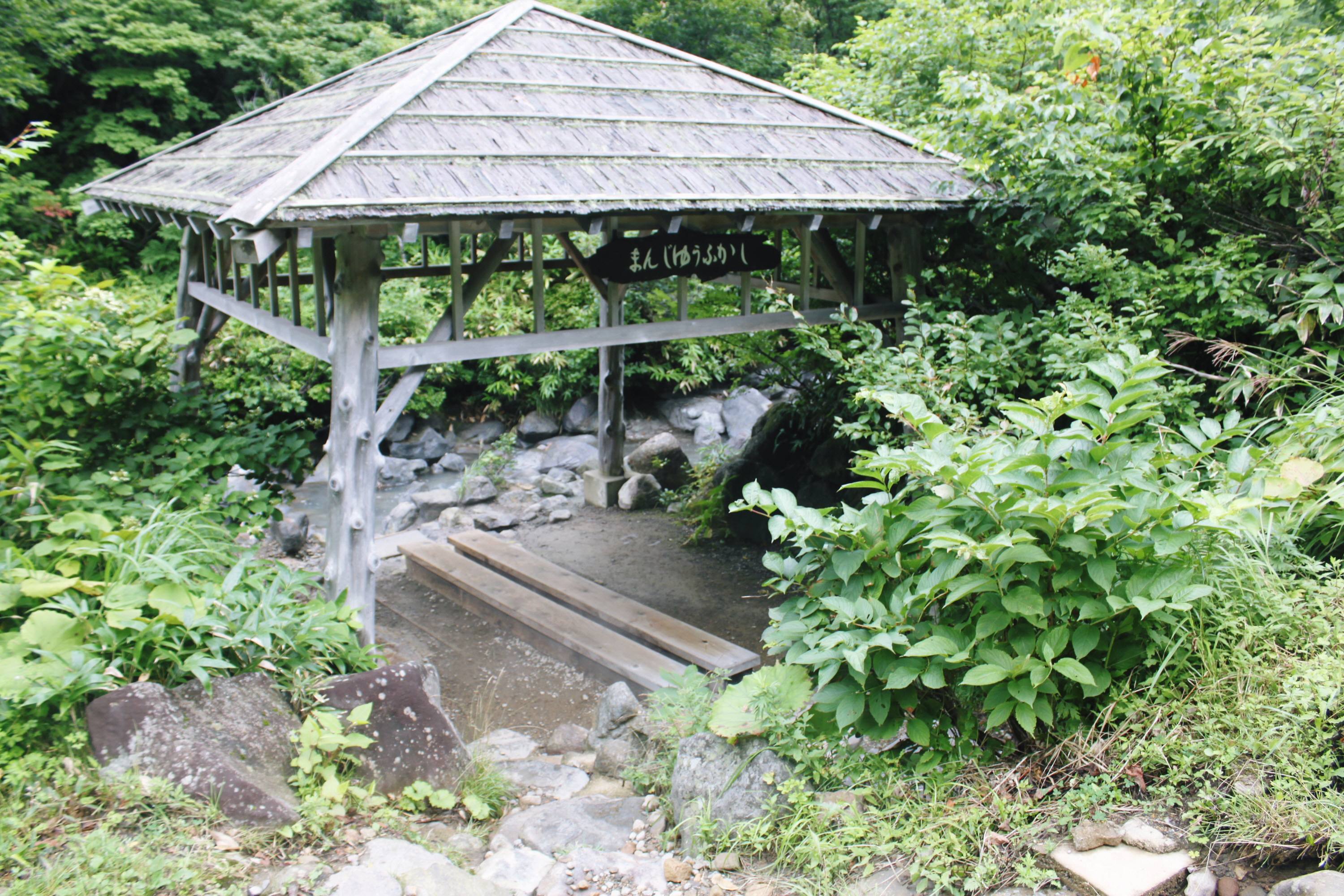 地獄沼 野湯 とまんじゅうふかし Toyotaboxyのblog 地獄沼 野湯 とまんじゅうふかし Toyotaboxyのblog