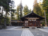DSCF6009