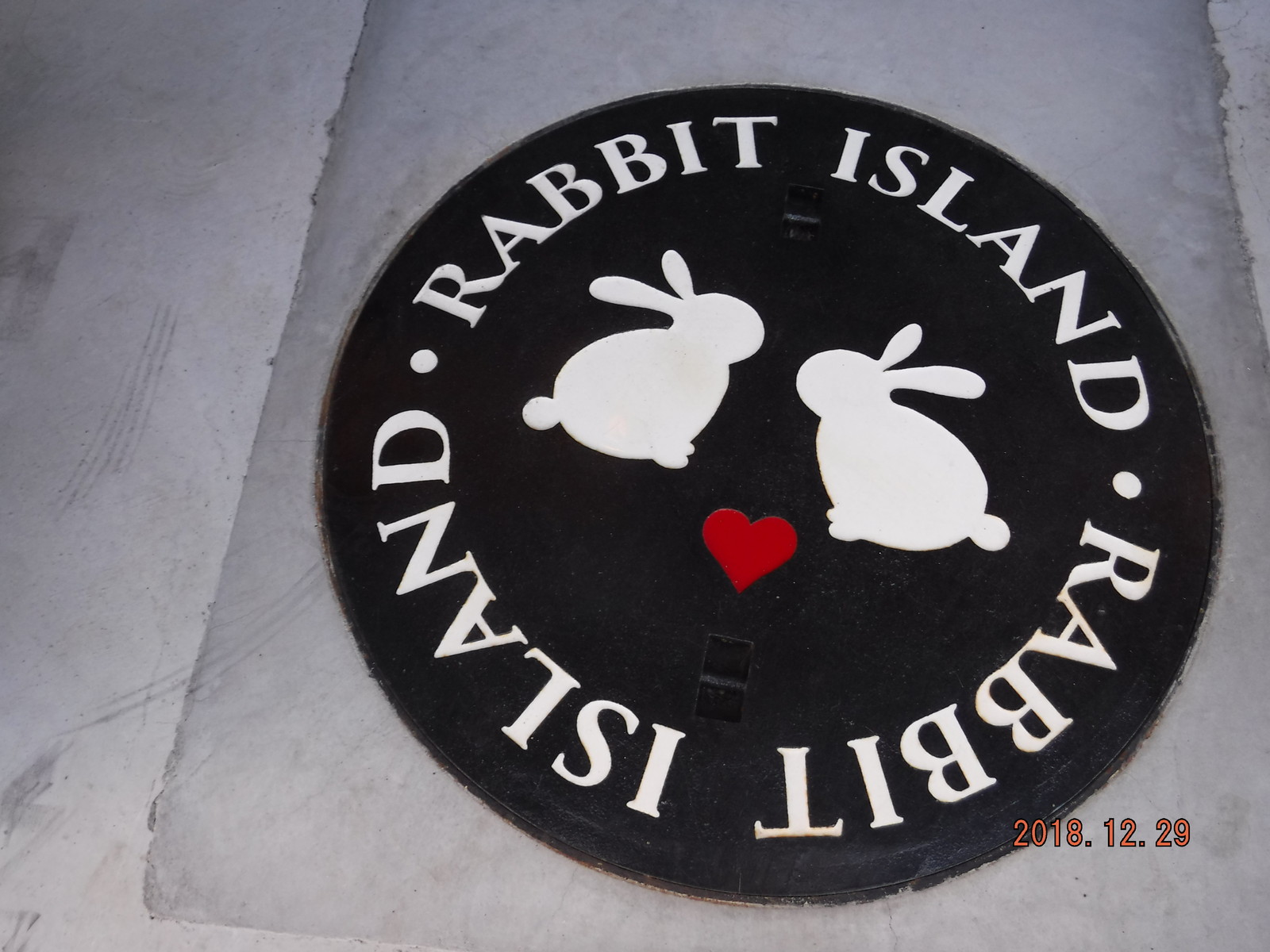 ウサギの島 大久野島 Toyotaboxyのblog