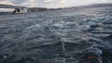 DSCF9568