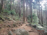 DSCF5941