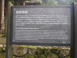 DSCF6274