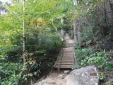 DSCF8747
