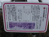 DSCF9217