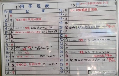 10yanagawase