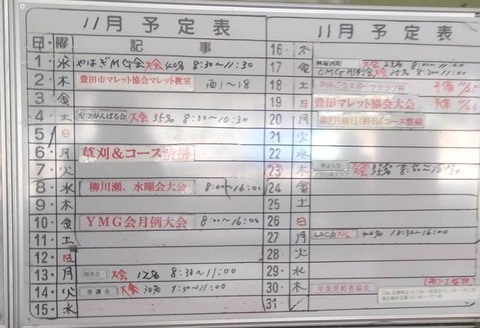 y11