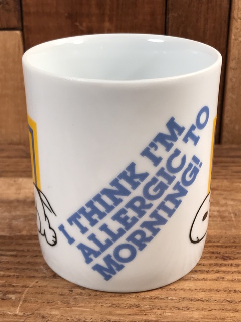 Vintage Peanuts Snoopy “I Think I'm...” Ceramic Mug (6)