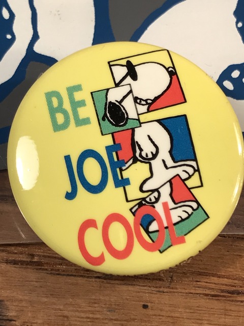 Vintage Peanuts Snoopy “Be Joe Cool” Pinbacks Set (16)