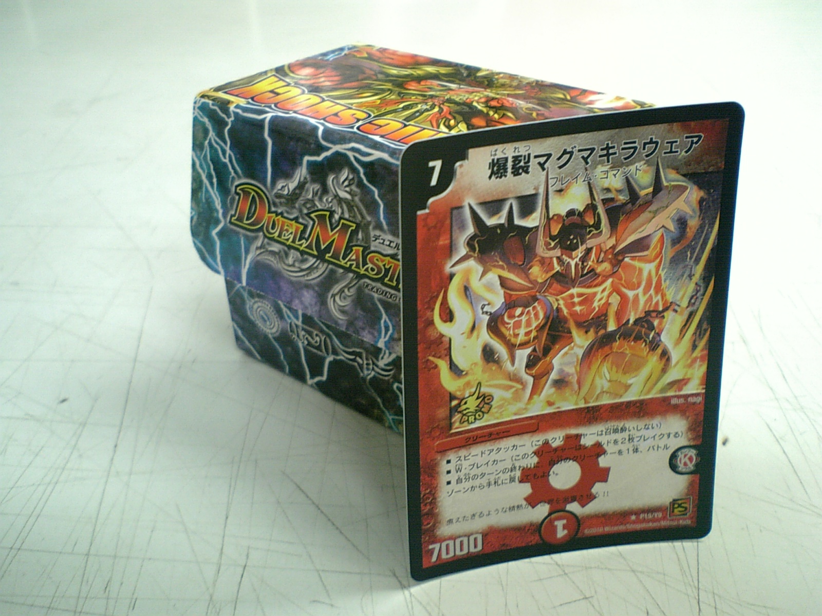 デュエルロード トッキュー８の景品が届きました 富岡町のすてっぷ わん日記