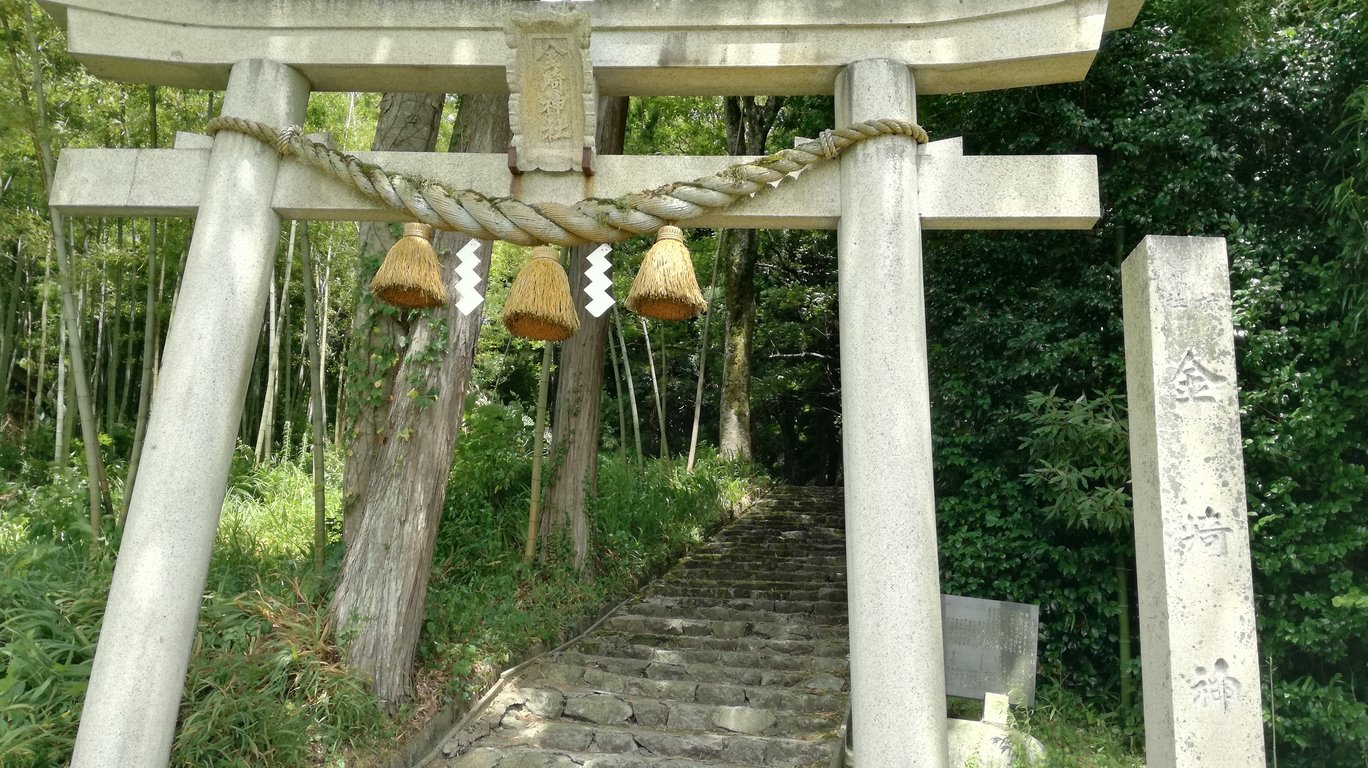 石川 宝達清水町 休耕田のトトロ像と金崎神社のスダジイの木 きまぐれ御朱印 大木巡り