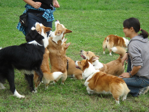 20080921 055