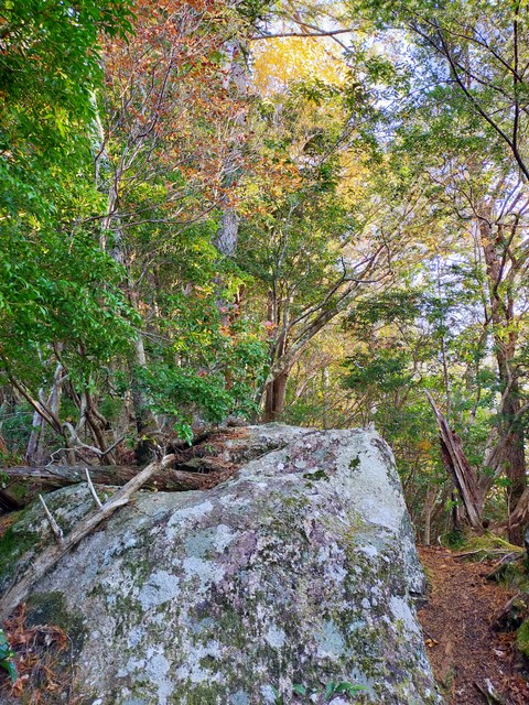IMG20201207081522