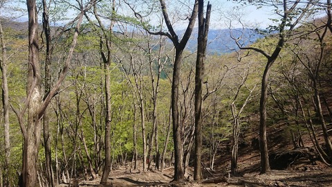 DSC_5224