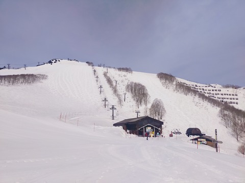 IMG20220411081330