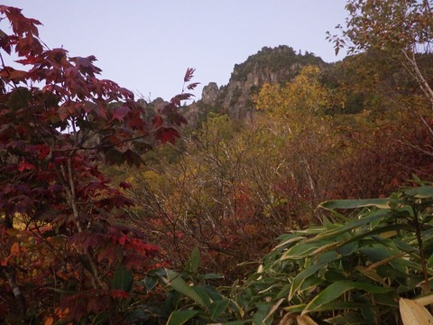R0010008