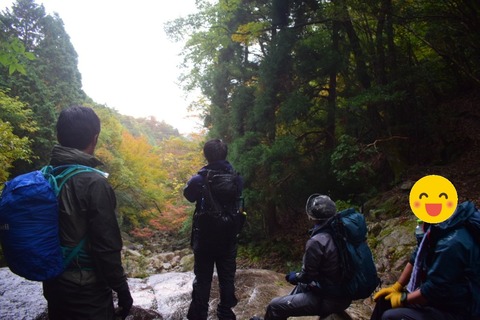 line_1117114310401744