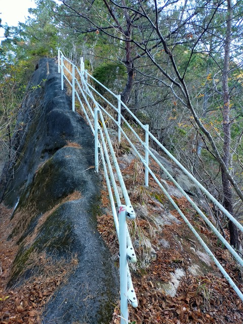 IMG20201207080409
