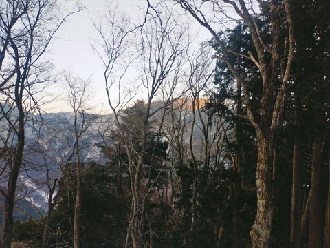 IMG20220110072807