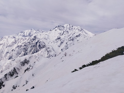 IMG20220411100139