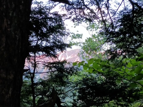 IMG20210621043837