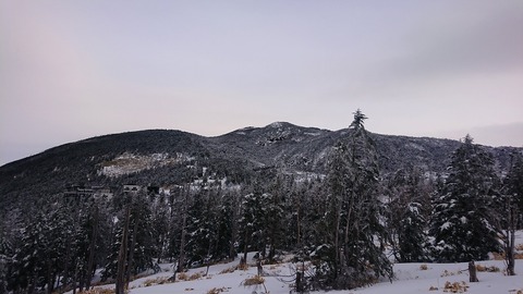 DSC_2151