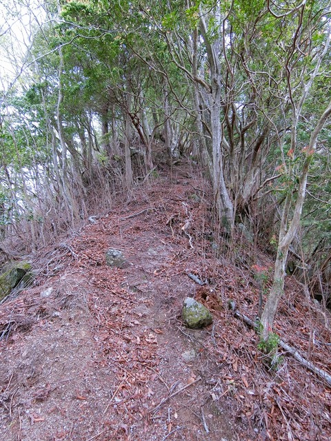 CIMG2988